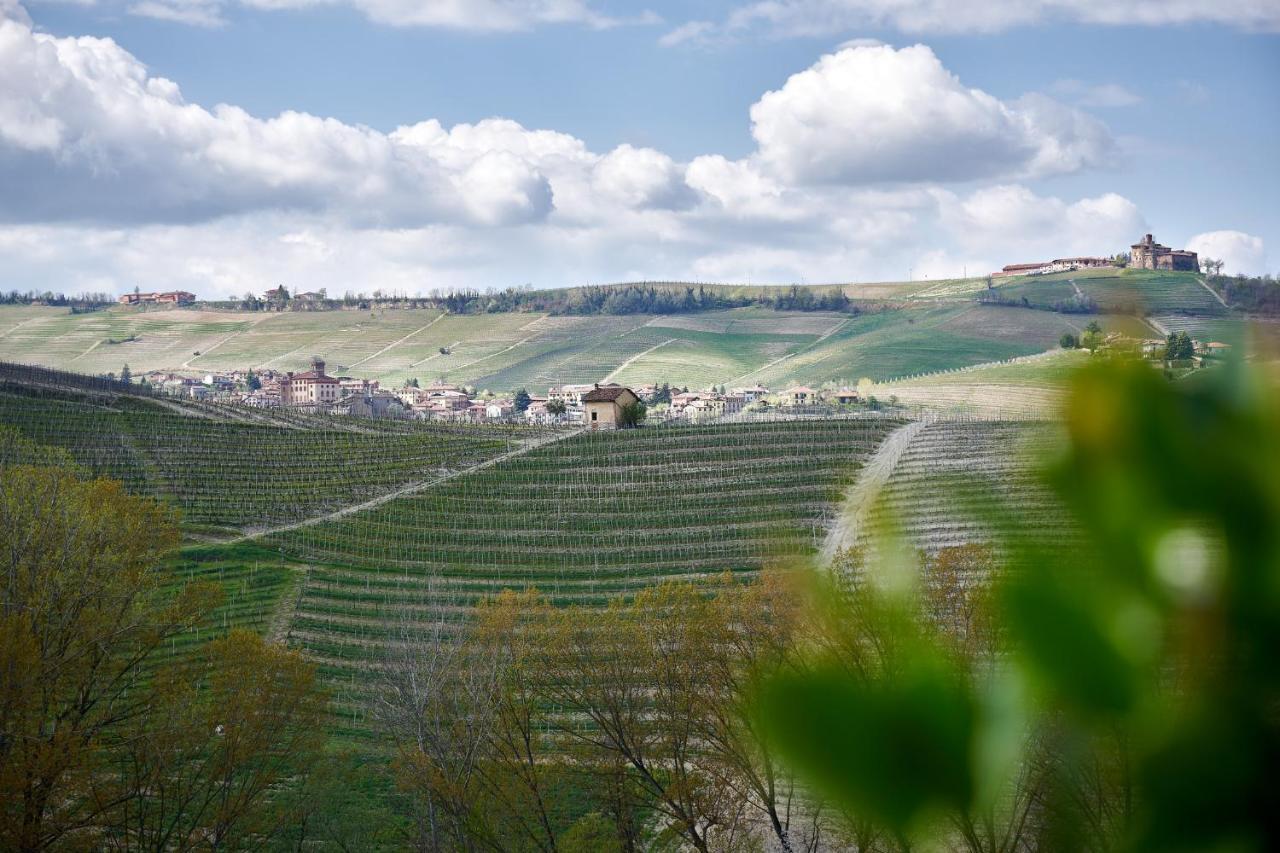 Agriturismo Cascina Sciulun Монфорте-д'Альба Экстерьер фото